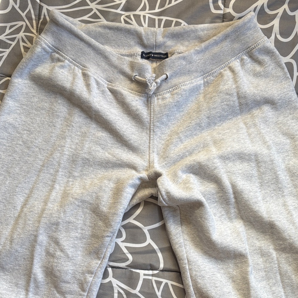 Brandy Melville Rainey Cotton Gray Sweatpants